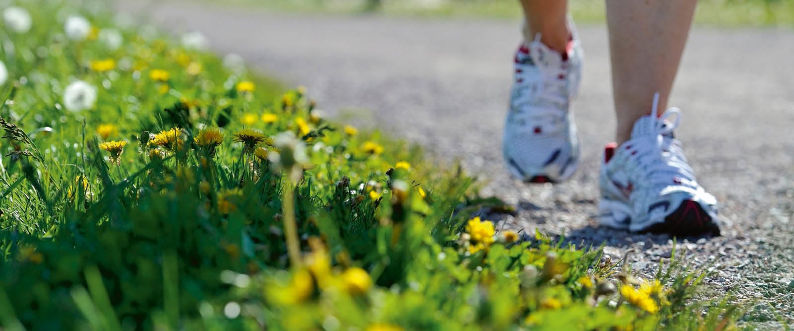 Pilgrimsvandring för unga vuxna