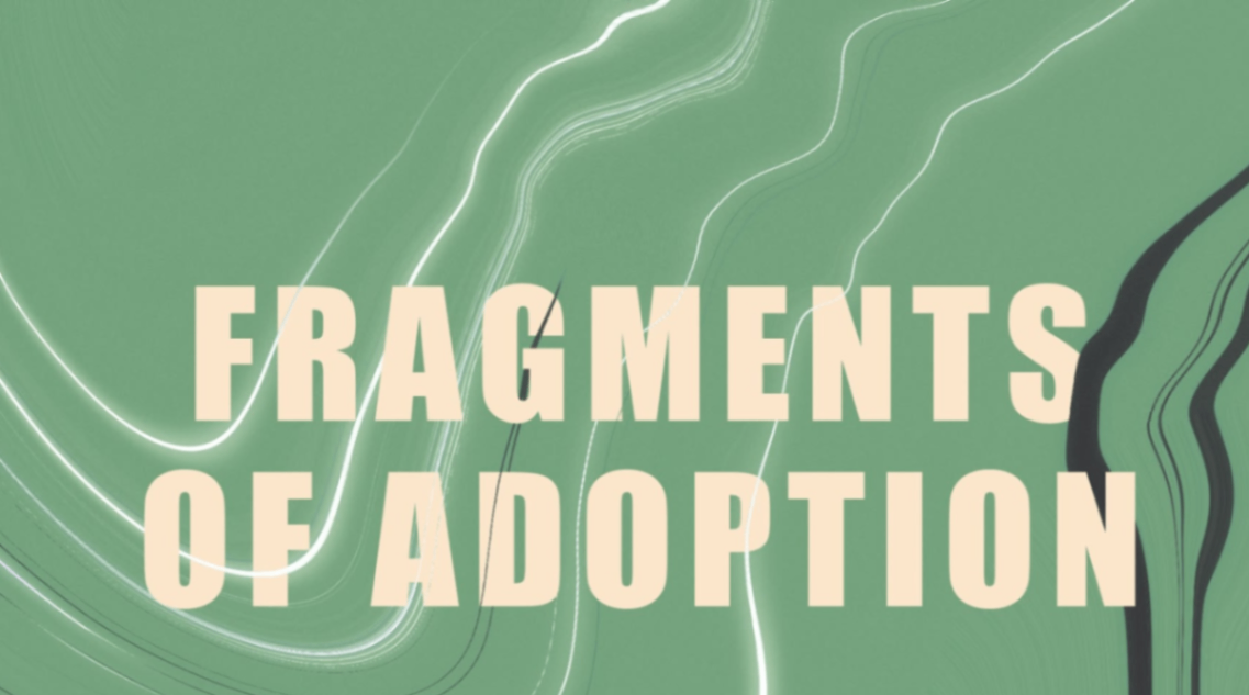 Fragments of adoption, en grupputställning