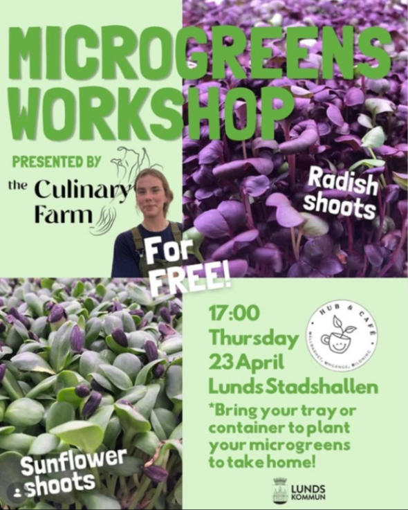 Microgreens workshop med The Culinary Farmer