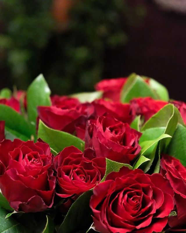 @bloomilund ALLA HJÄRTANS DAG❤️

Butiken är fylld med fantastiska blommor.! 

🌹Lång röd ros | 95kr st | 10st 850kr🌹
❤️Romantiska buketter | från 500kr❤️
